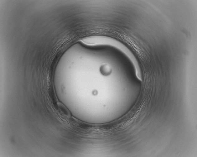 X0000115790597200912041514