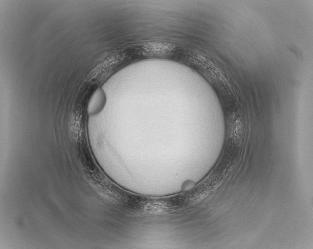 X0000115790599200912041514