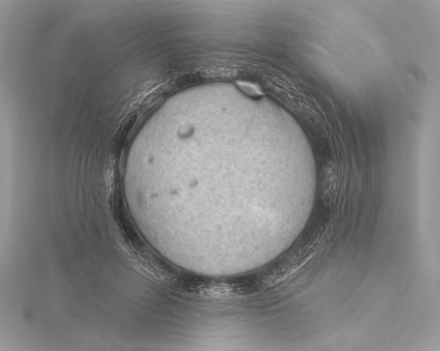 X0000115790600200912041514