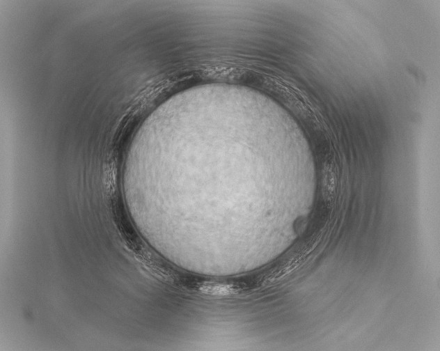 X0000115790602200912041514