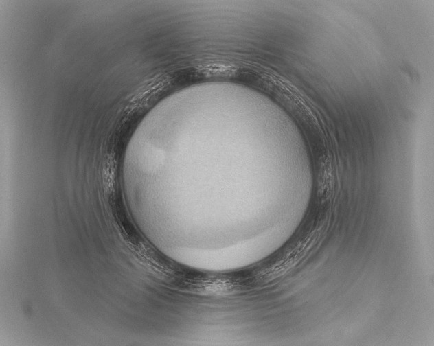 X0000115790604200912041514