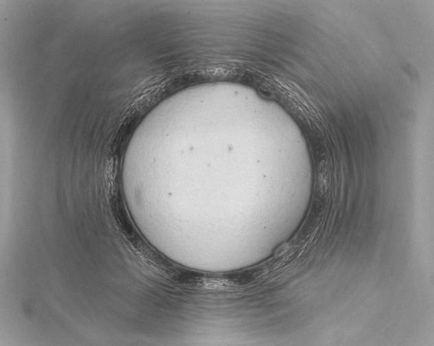 X0000115790605200912041514