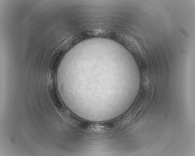 X0000115790607200912041514