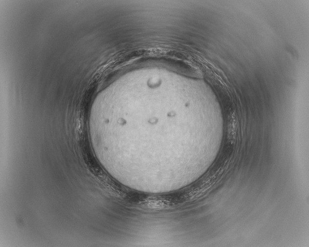 X0000115790608200912041514