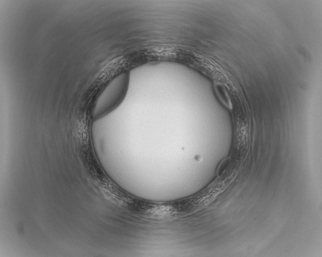 X0000115790609200912041514