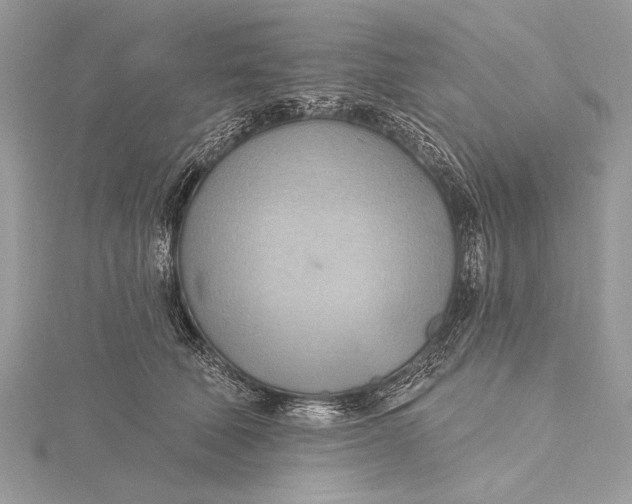 X0000115790610200912041514