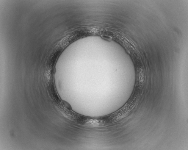 X0000115790611200912041514