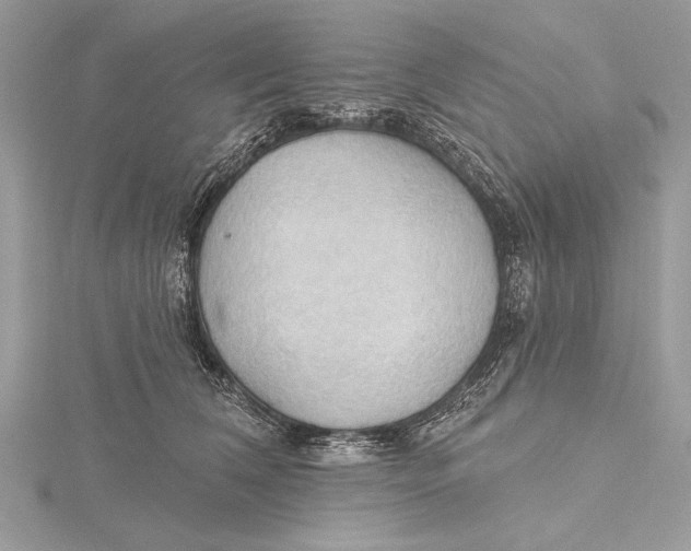 X0000115790612200912041514