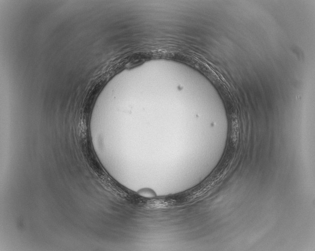 X0000115790613200912041514