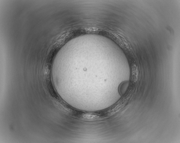 X0000115790614200912041514