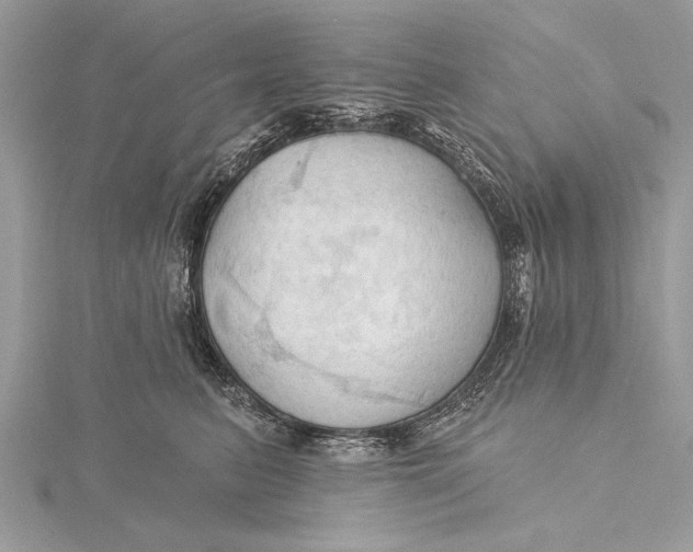 X0000115790615200912041514