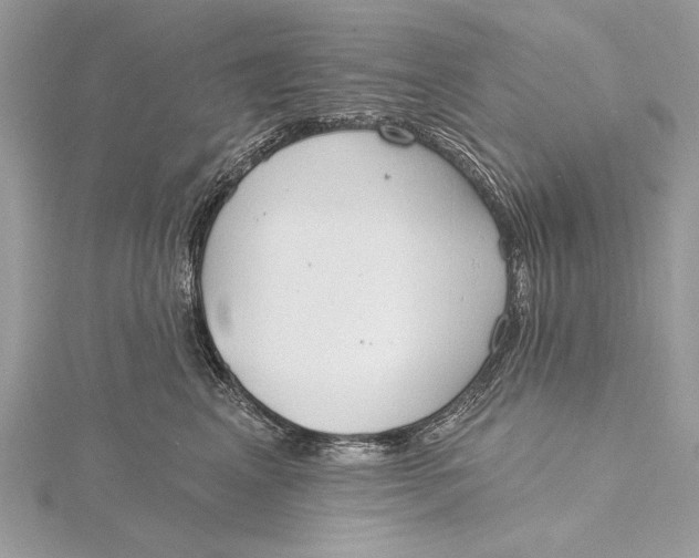 X0000115790617200912041514