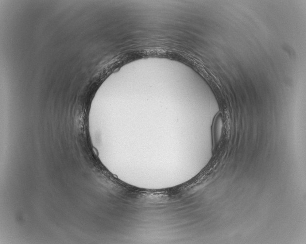 X0000115790619200912041514