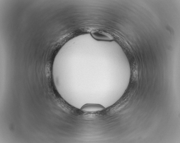 X0000115790620200912041514