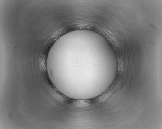 X0000115790622200912041514