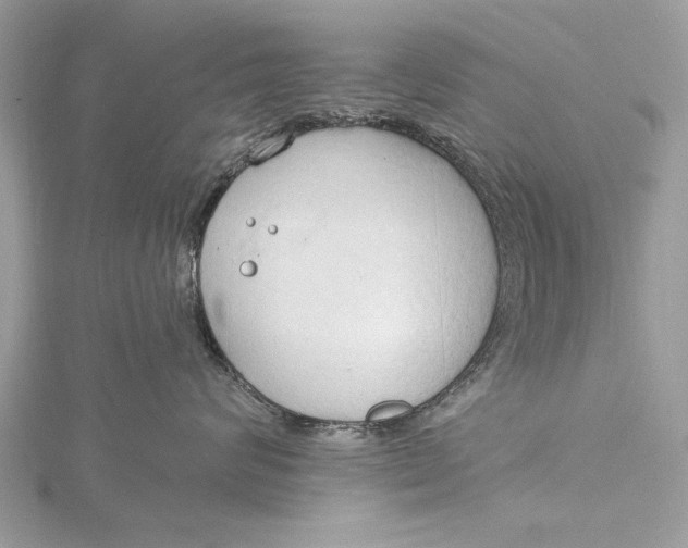 X0000115790624200912041514