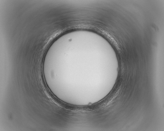 X0000115790625200912041513