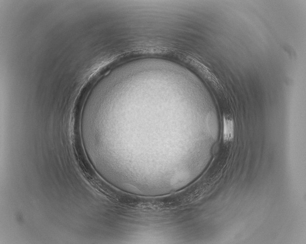 X0000115790627200912041513