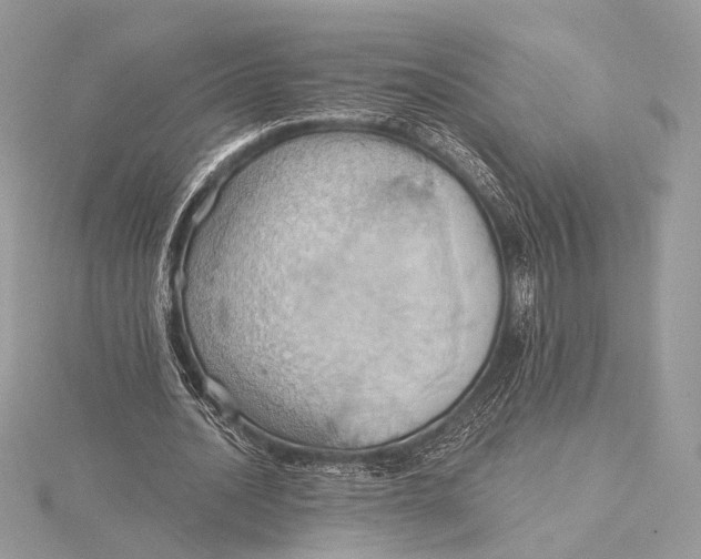 X0000115790628200912041513