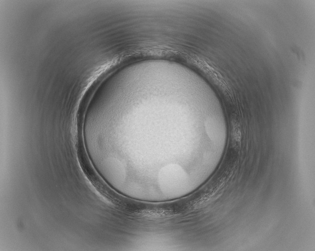 X0000115790630200912041513