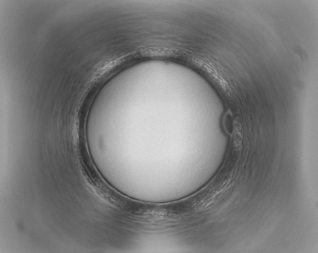 X0000115790631200912041513