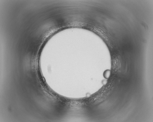 X0000115790632200912041513