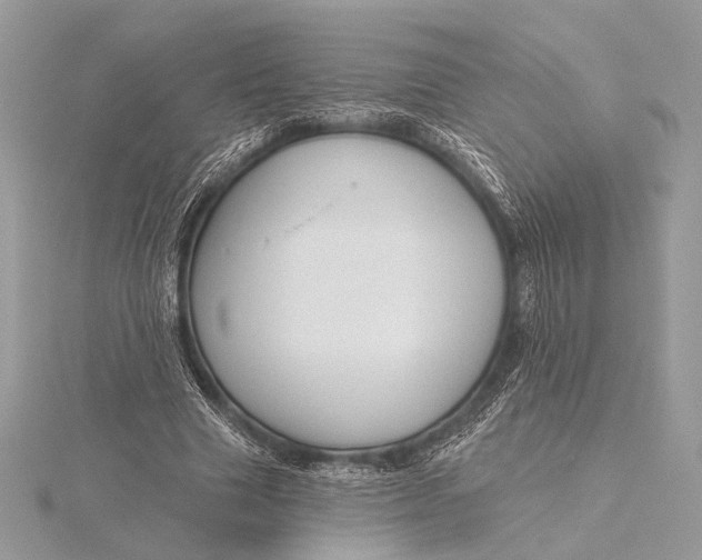 X0000115790633200912041513