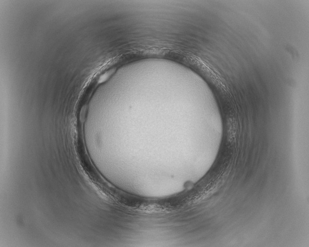 X0000115790634200912041513