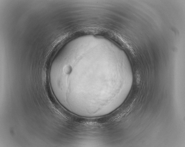 X0000115790637200912041513