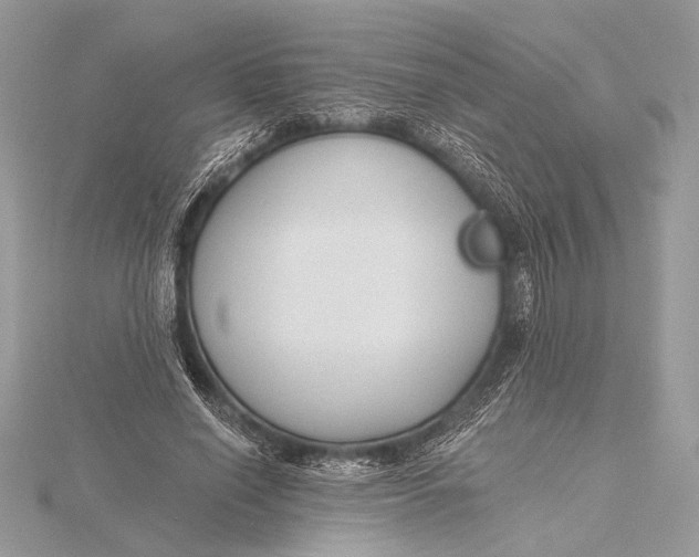 X0000115790638200912041513