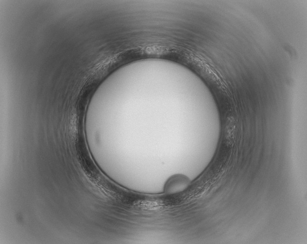 X0000115790639200912041513