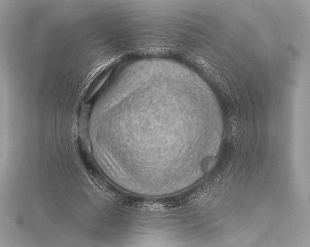 X0000115790640200912041513