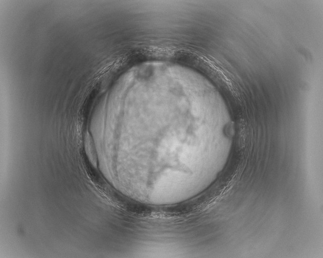 X0000115790641200912041513