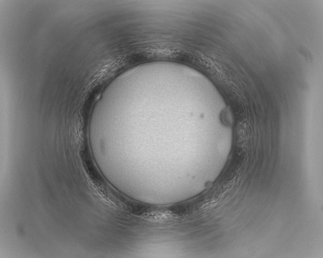 X0000115790642200912041513