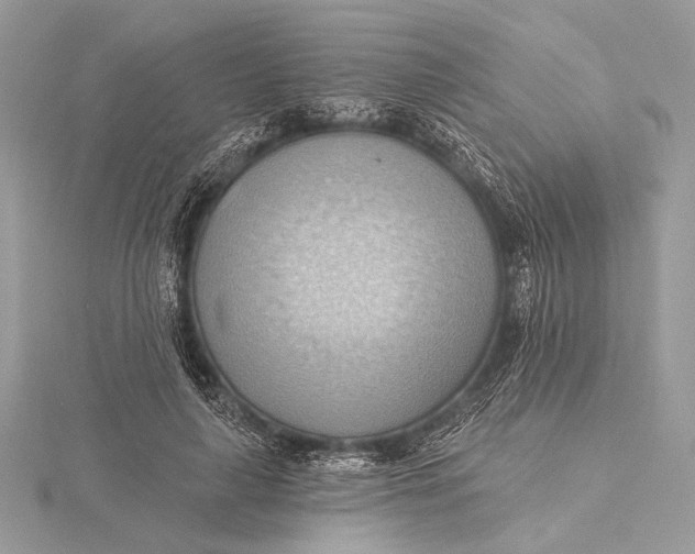 X0000115790643200912041513