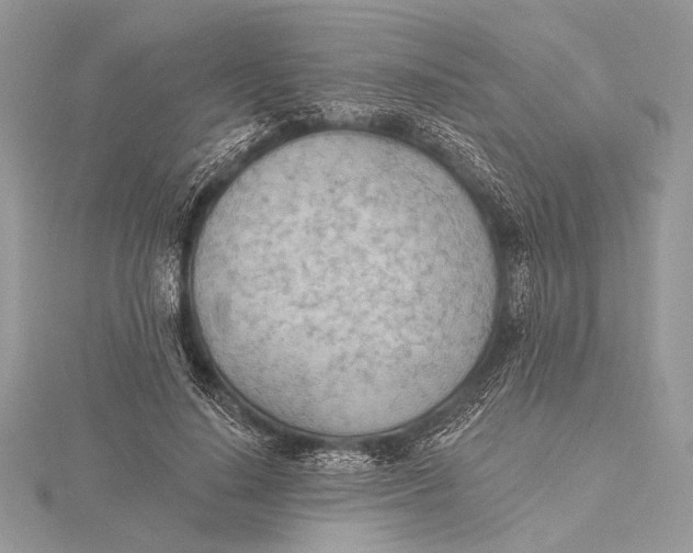 X0000115790644200912041513