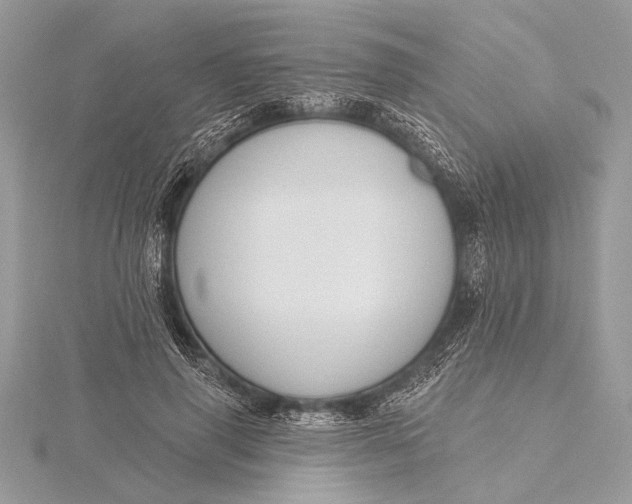 X0000115790645200912041513