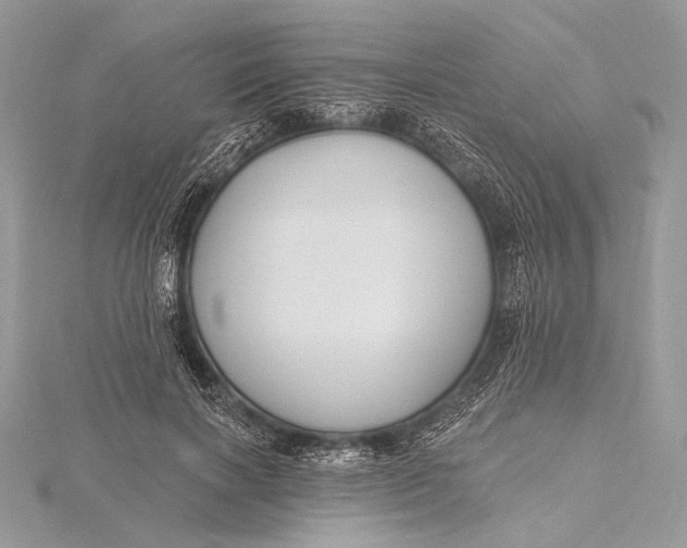 X0000115790646200912041513