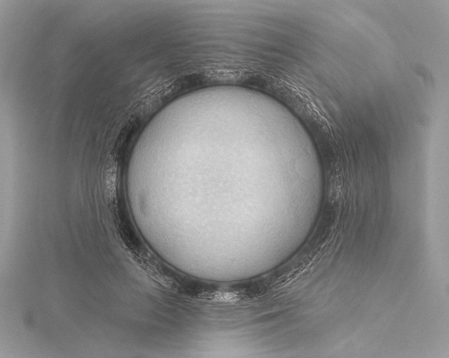 X0000115790647200912041513