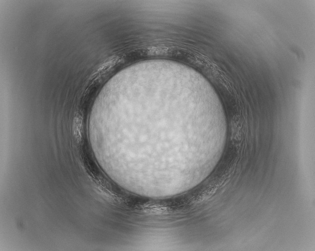 X0000115790648200912041513