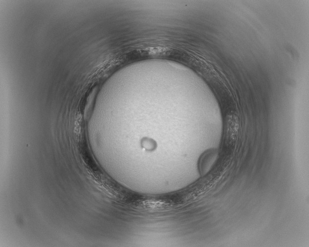 X0000115790650200912041513