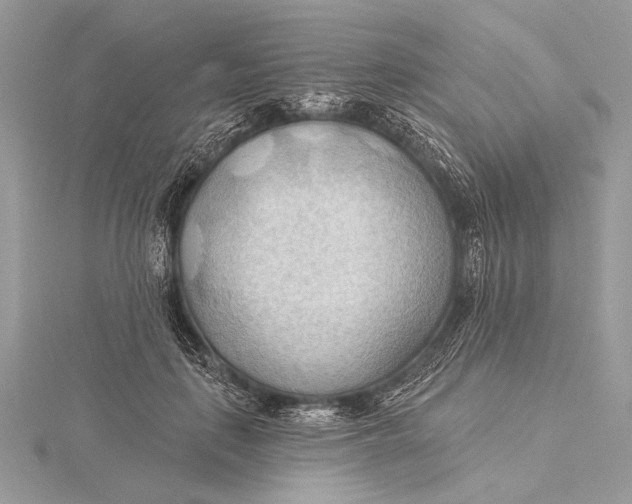 X0000115790651200912041513