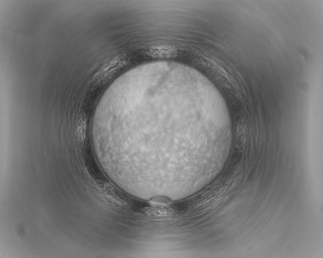 X0000115790652200912041513