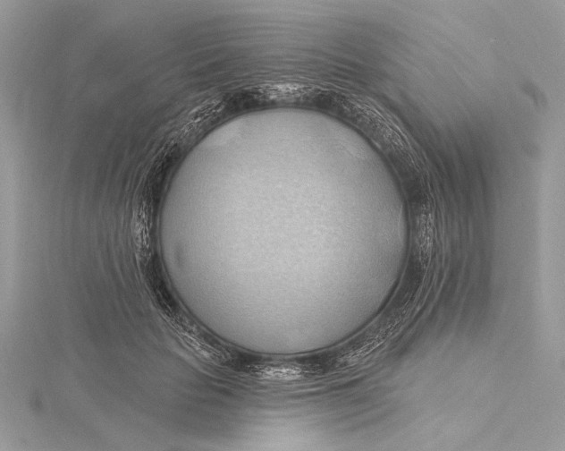 X0000115790653200912041513