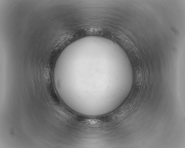 X0000115790654200912041513