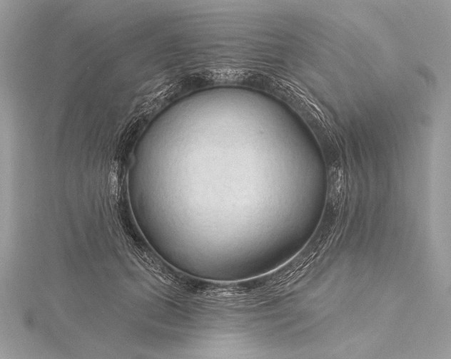 X0000115790655200912041513