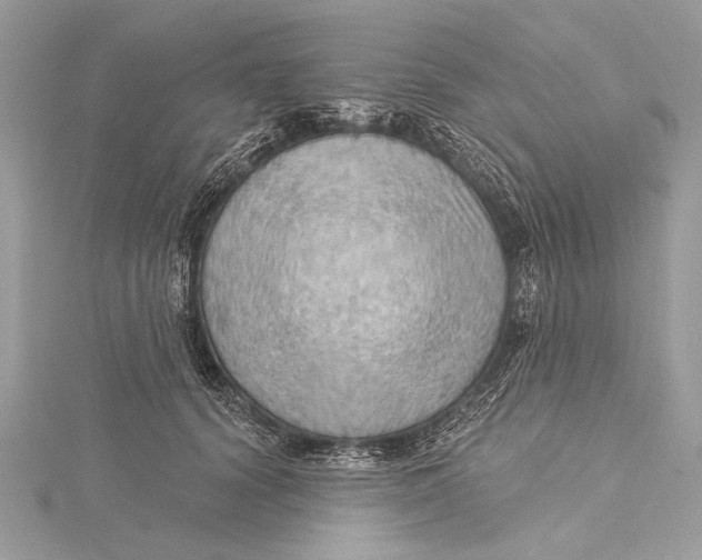 X0000115790656200912041514