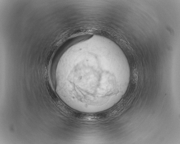 X0000115790657200912041514