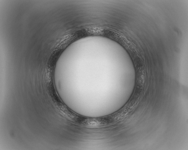 X0000115790658200912041514