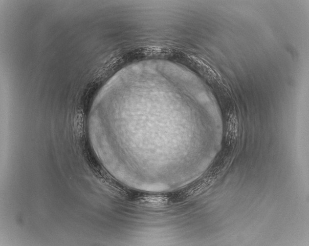 X0000115790659200912041514